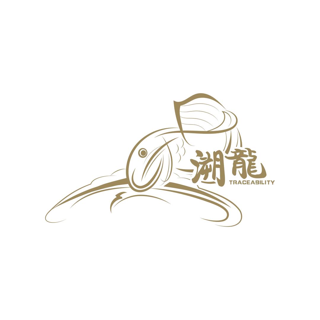 溯龍龙鱼