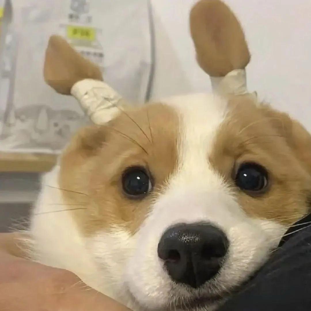 天天发