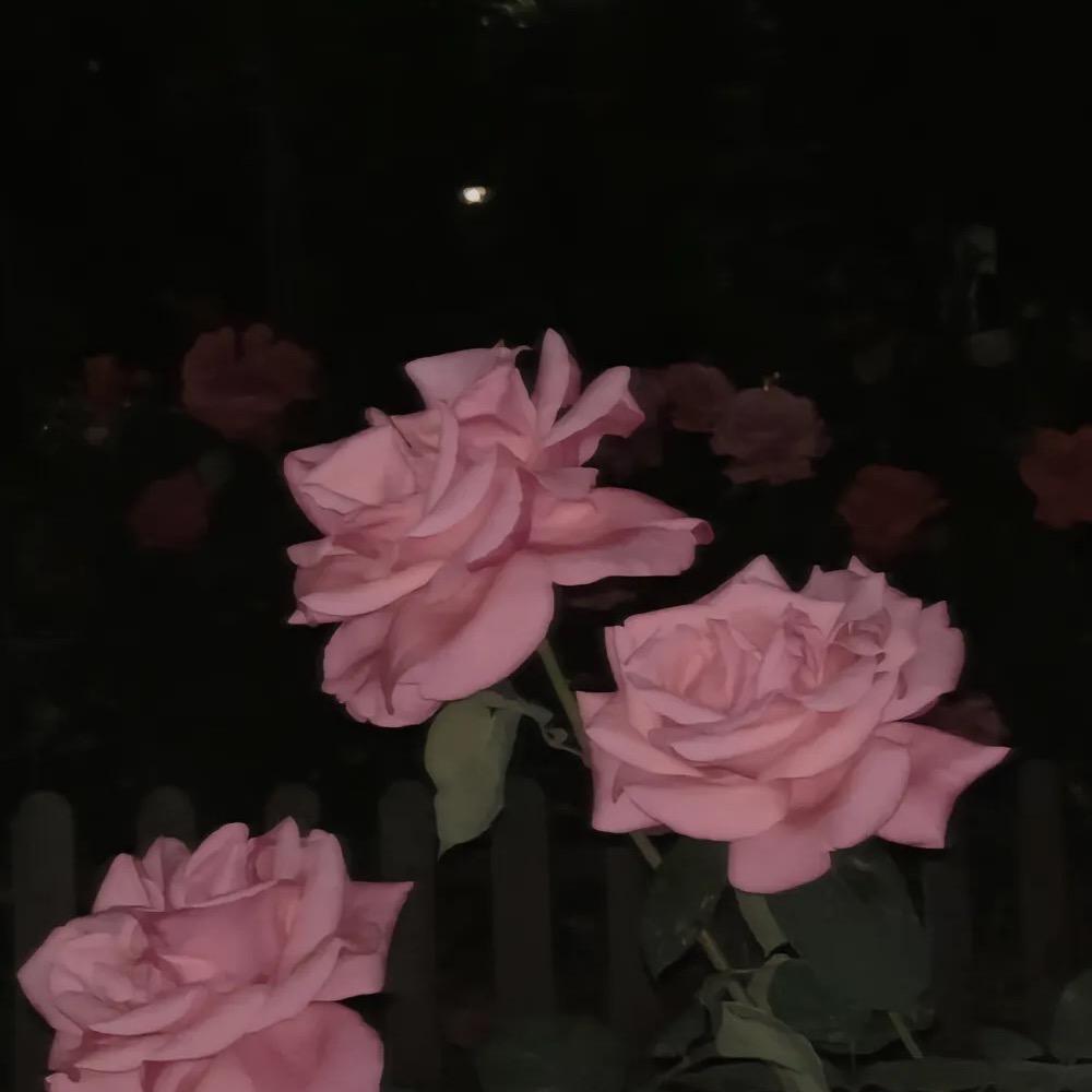 迈幻鑫信息咨询-小漫