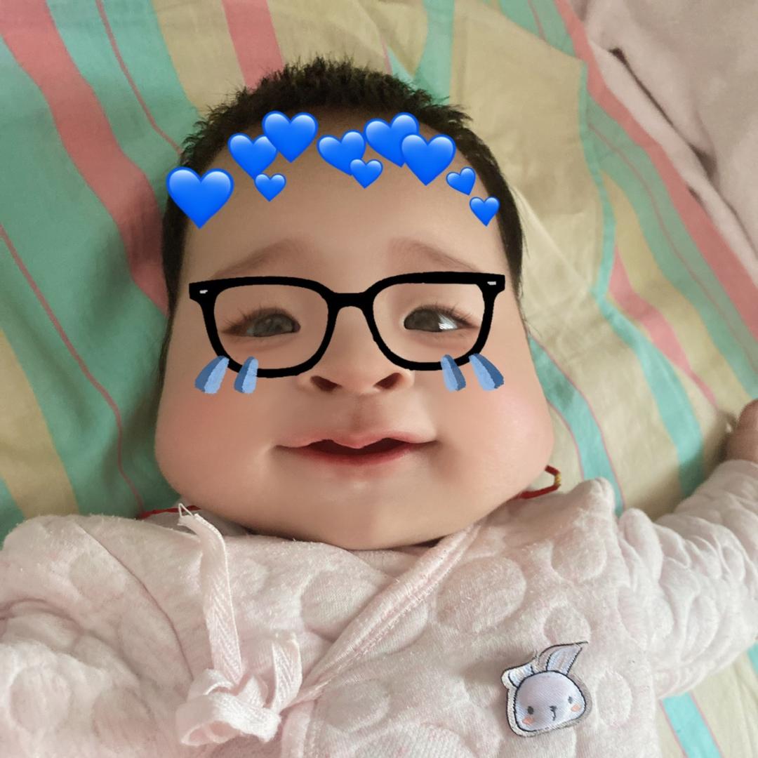 可爱的貓