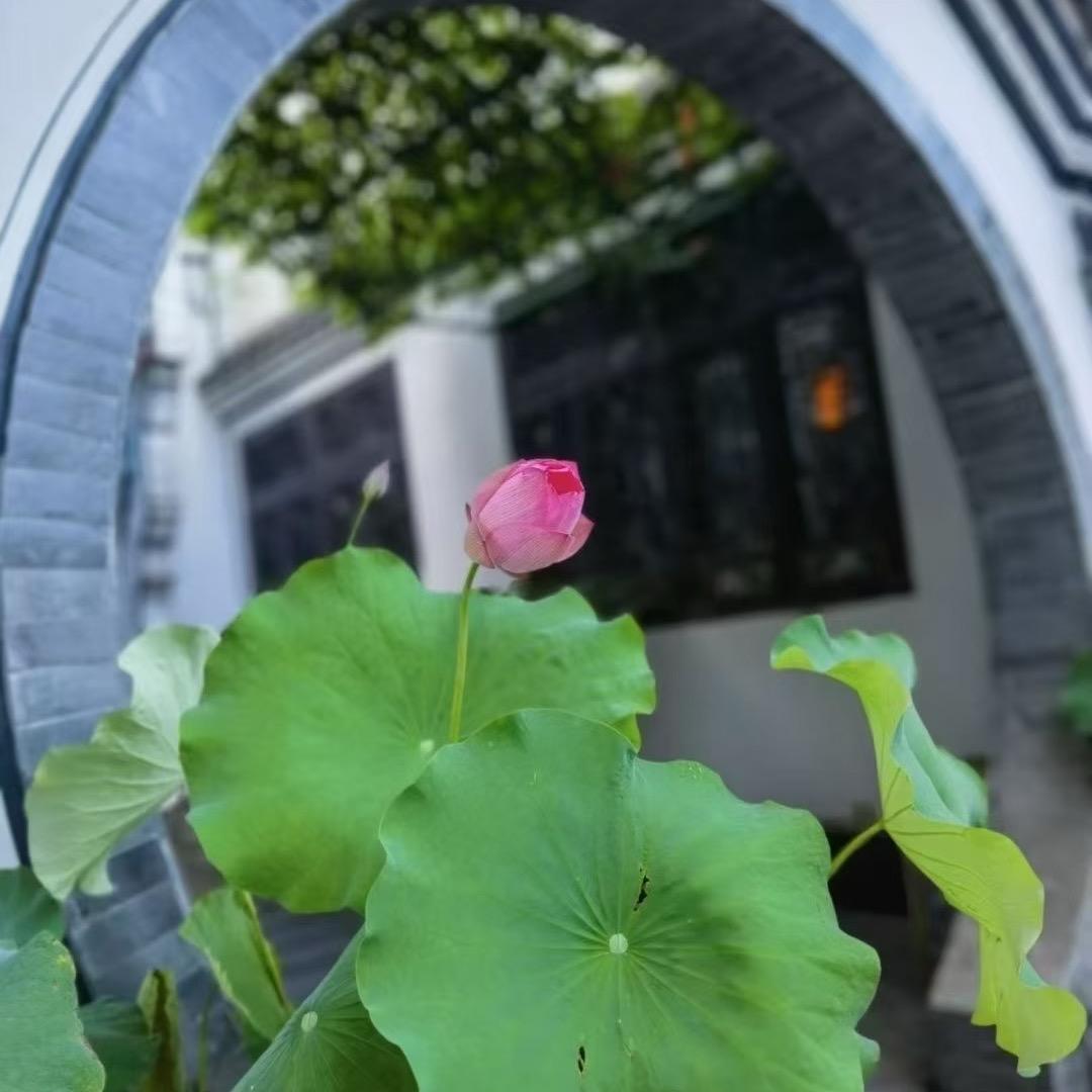 健康快乐