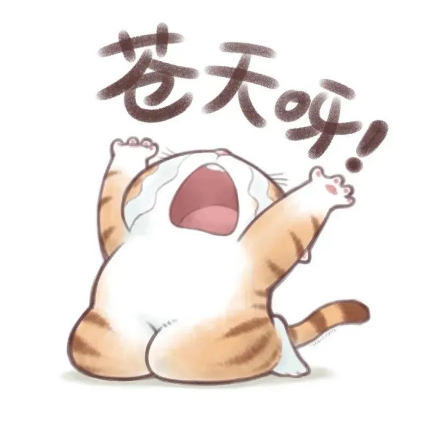 今生今世