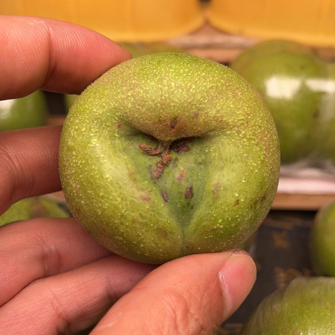 老于青皮核桃