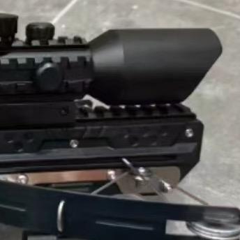 小钢炮。 小助理