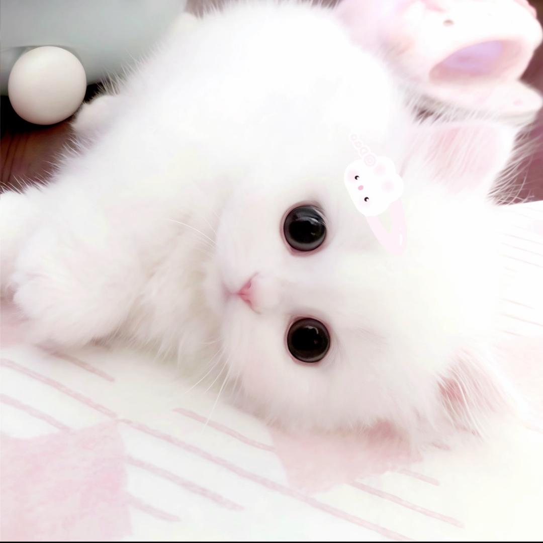 Babay