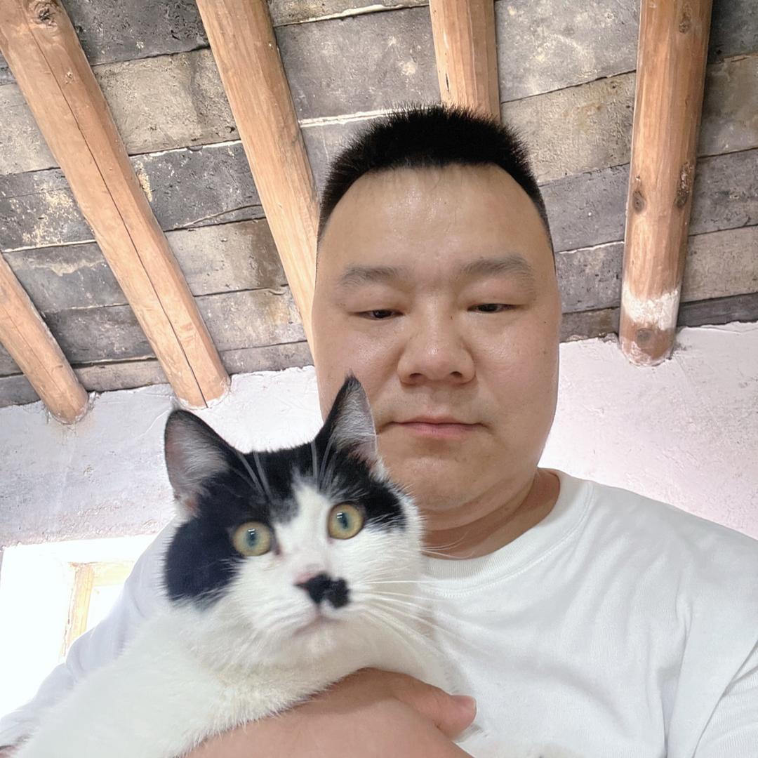 胖子和猫⁹¹⁹