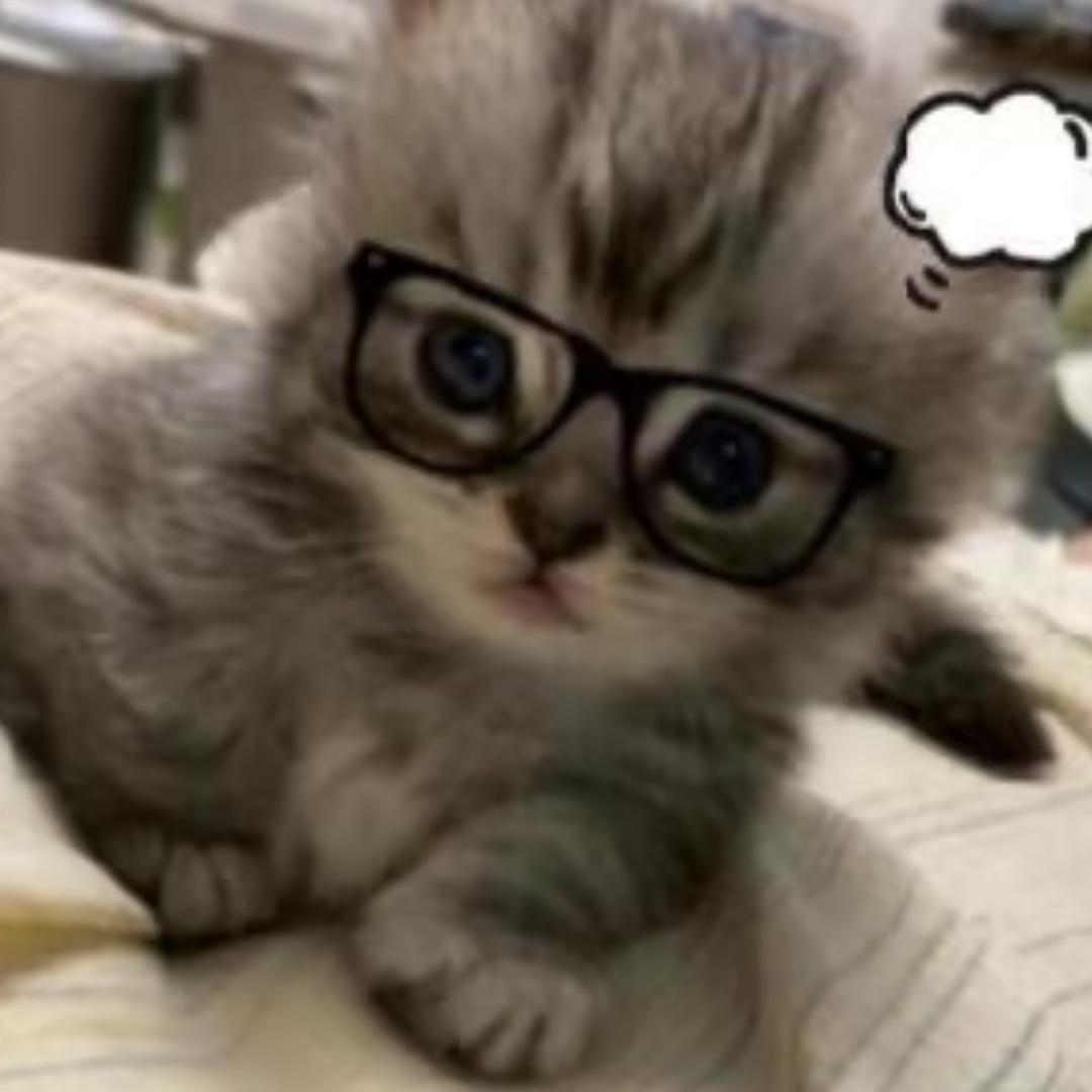 小乖🧸