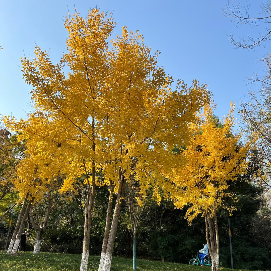 45°人生