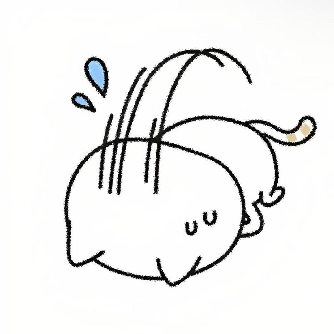 陪她聴Jay