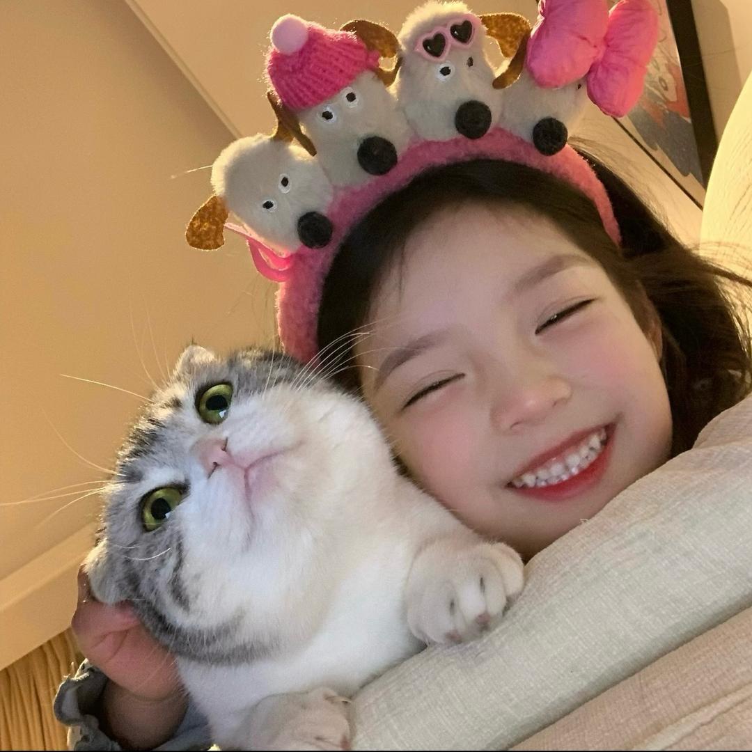 苳椿