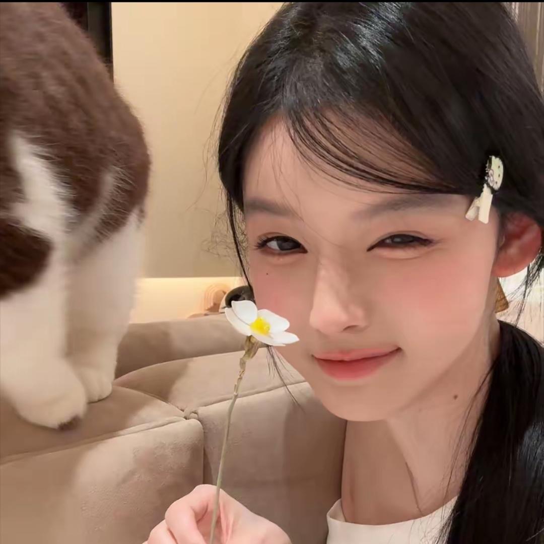一只来福（不要找我喝奈奈）