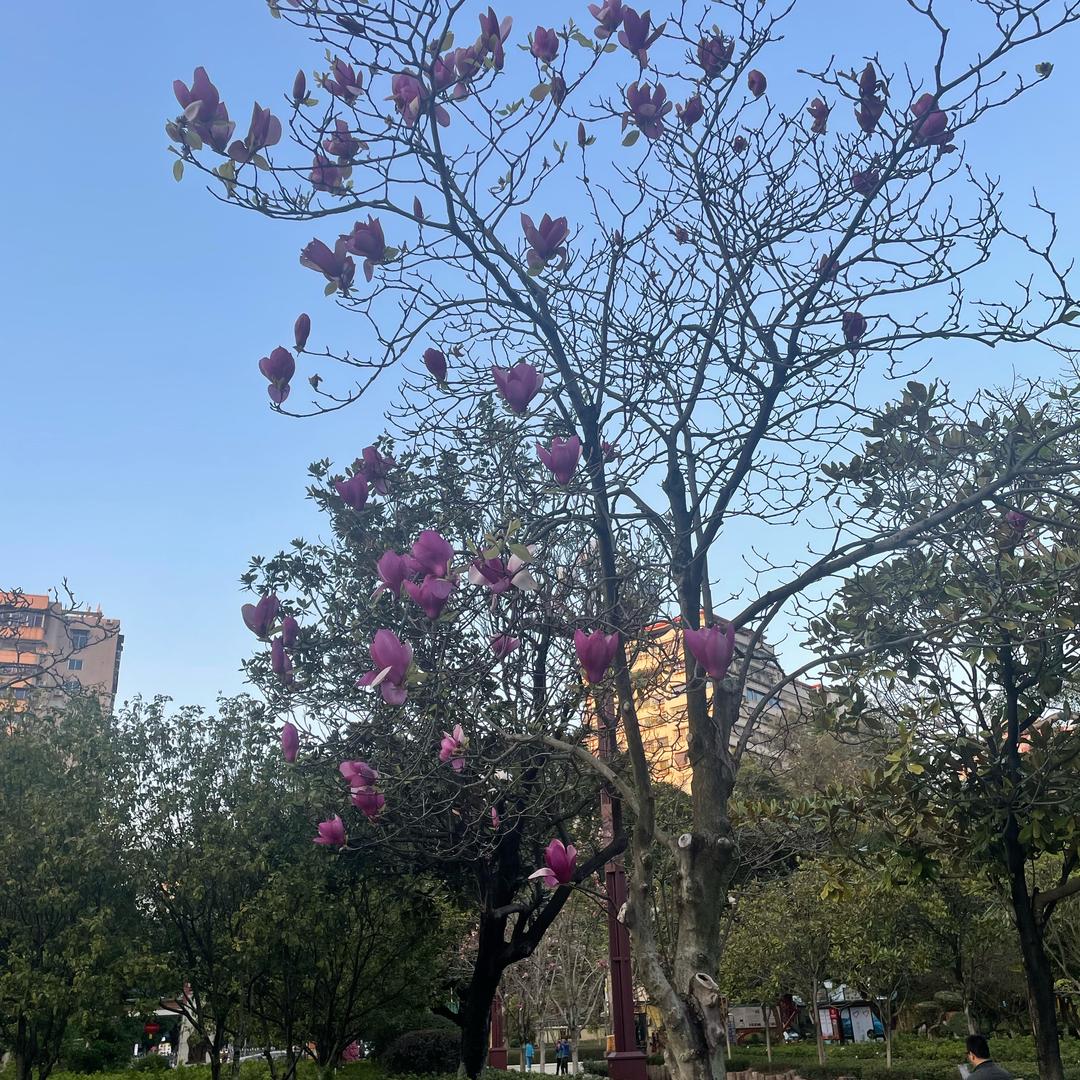 努力,幸运,自由
