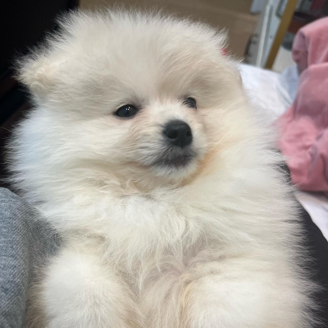 一一