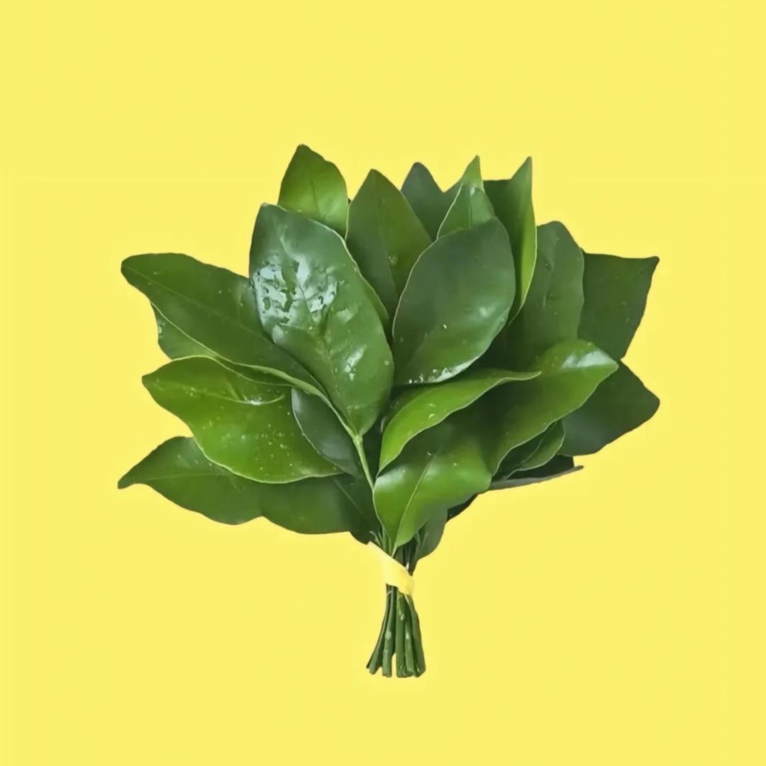 爱吃饭的