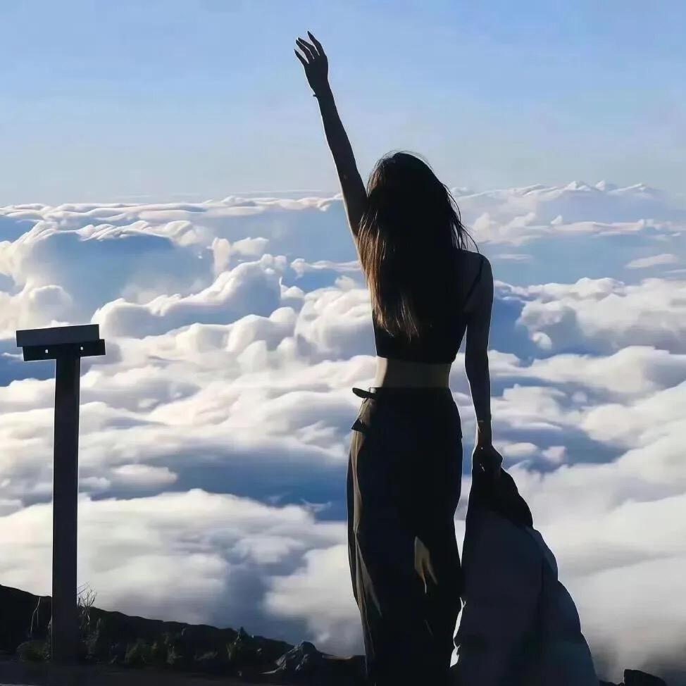 婉婉测评