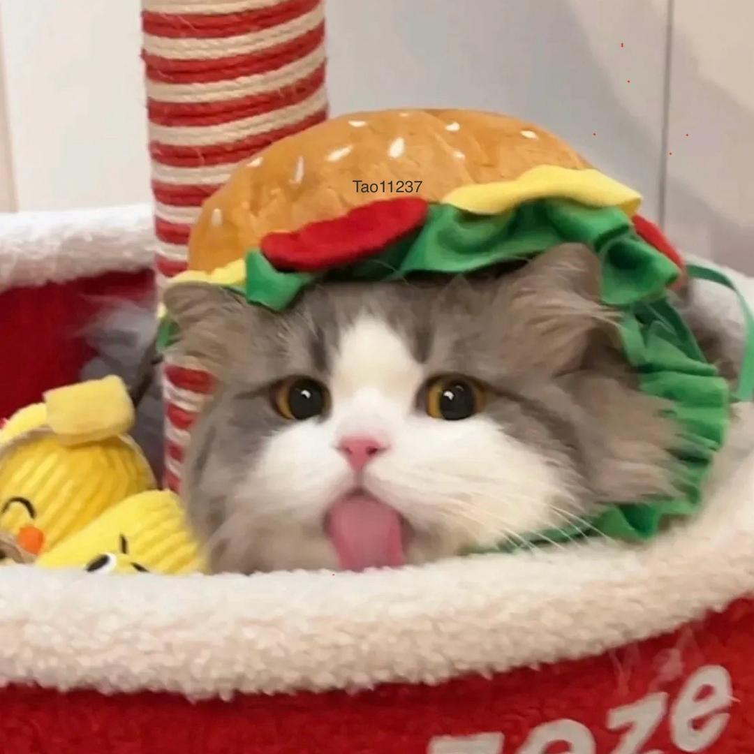 薯枝i（大家别问了看简介就可以直接进👗