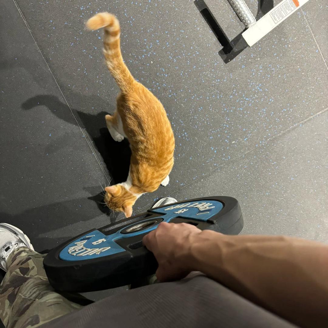 好像你更帅一点