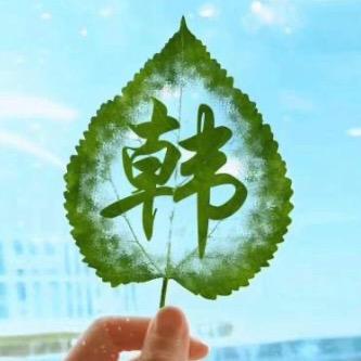 韩某某