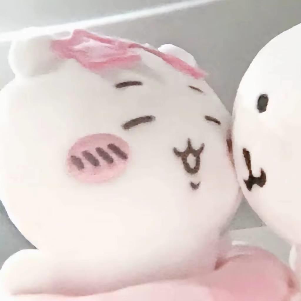 第十三个月
