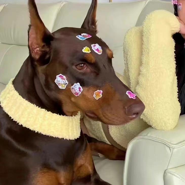 奶油蛋糕🍰@抖音