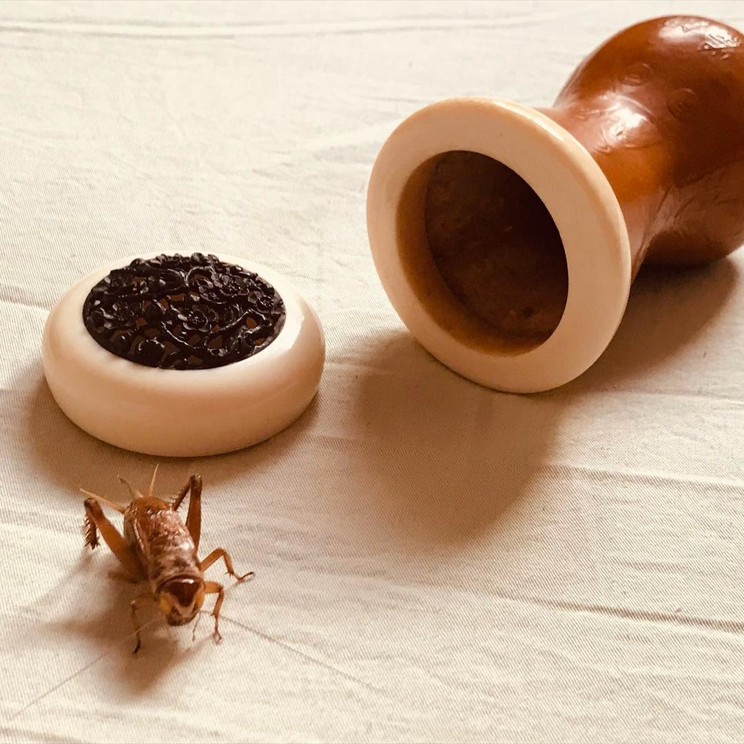 冬虫老刘