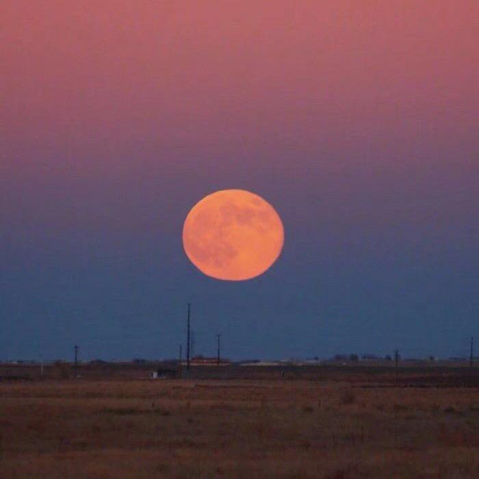 给生活比个✌️