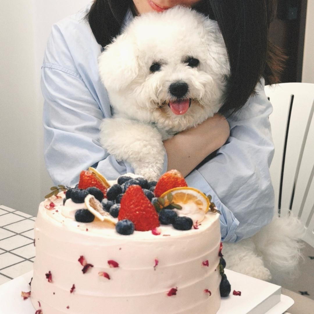 屁西歪的小猫力