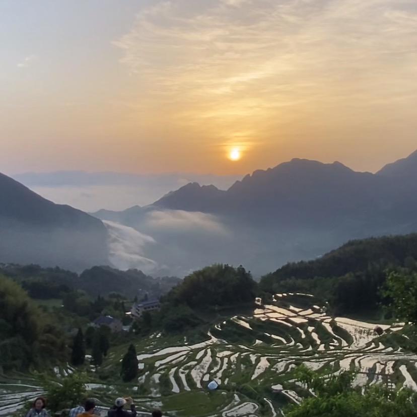 矛戈（力诺）❤️