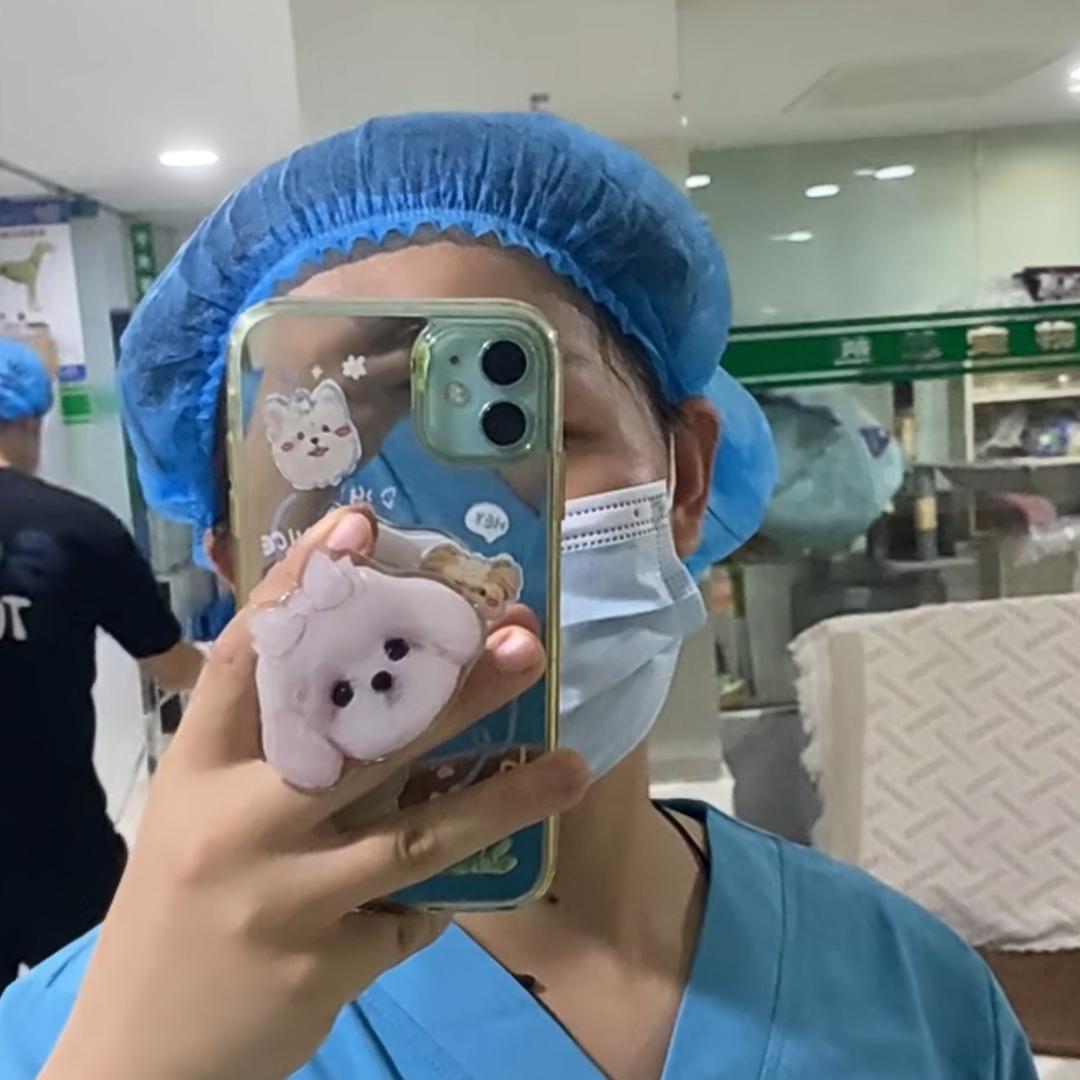 永顺爱它宠物(河西路店)