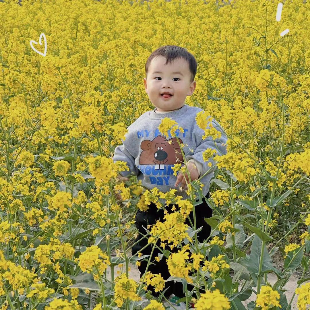 刘梦洋18567786333