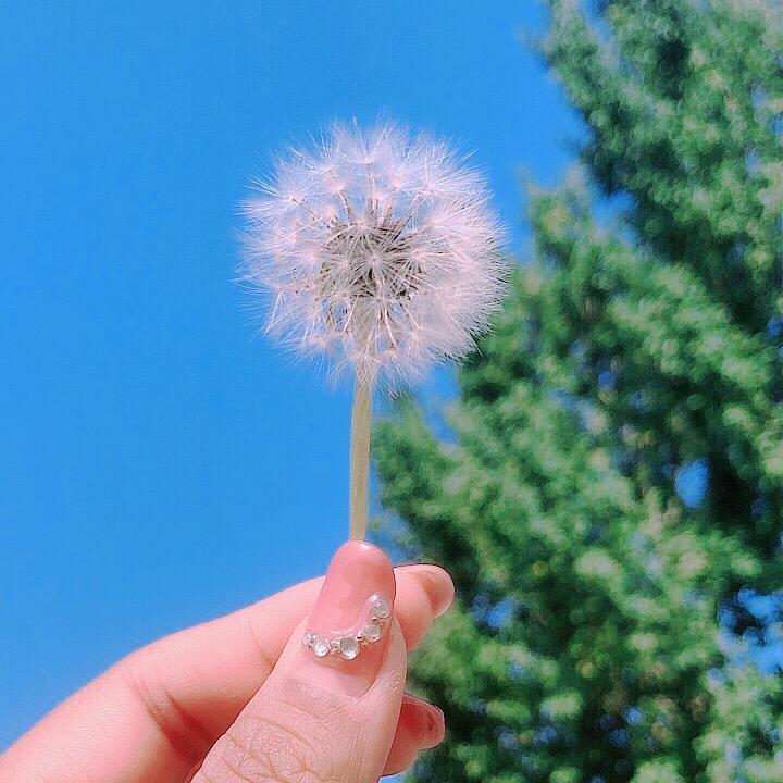 你若安好便是晴天