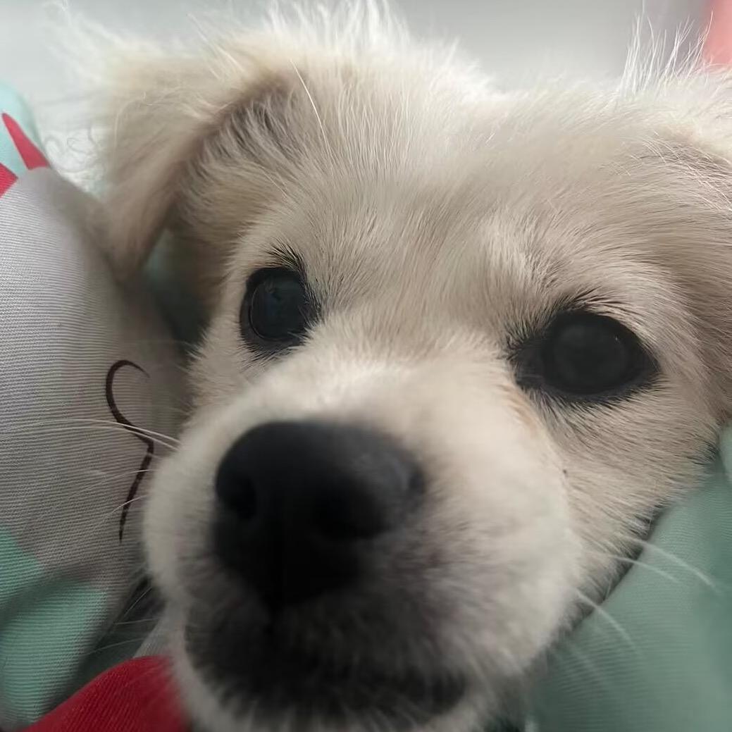 拉在你嘴里