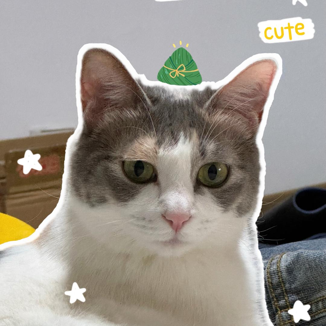 至少要长到两米叭