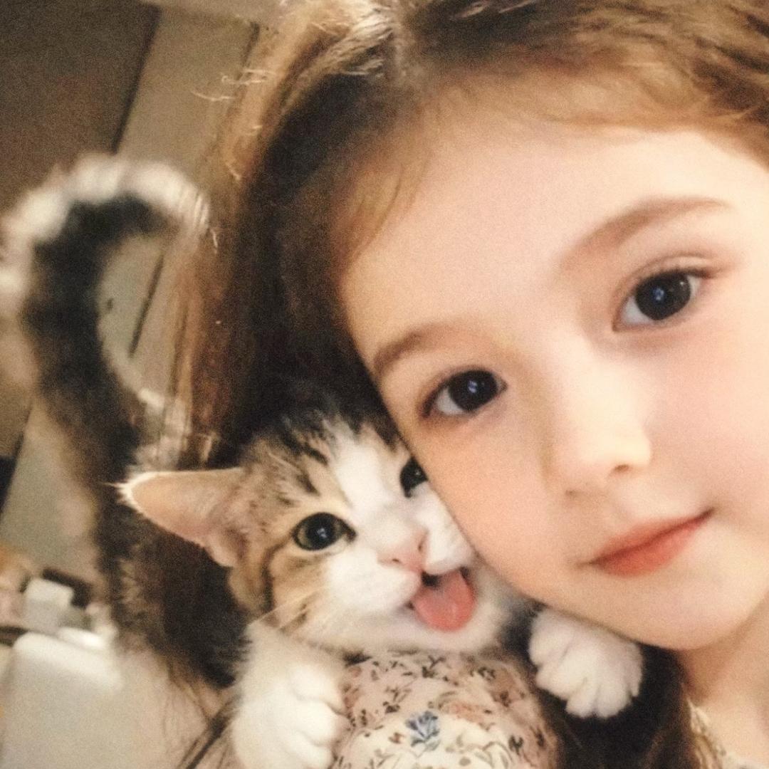 半块小奶酪🧀️