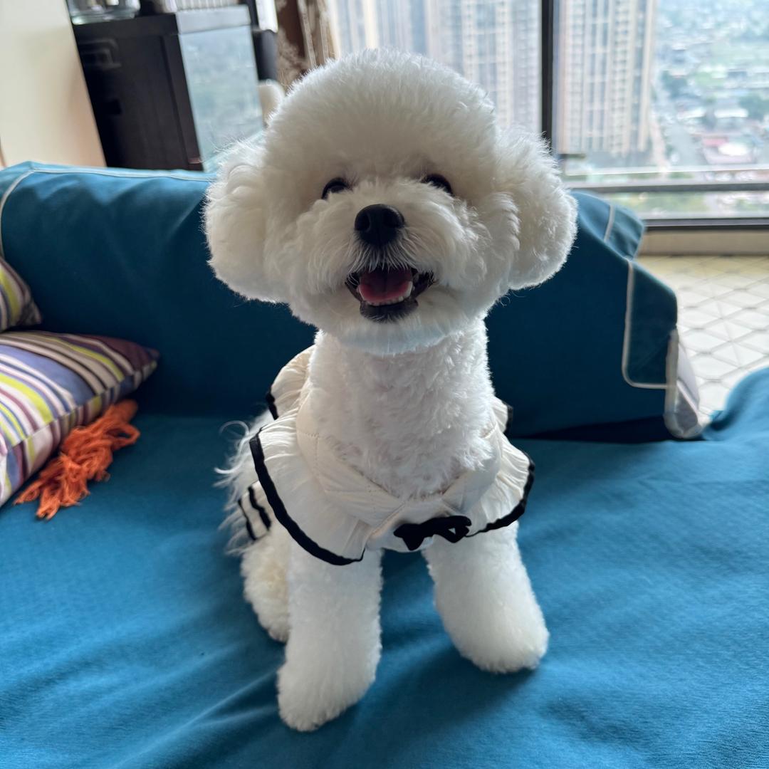 熊熊🐻💃