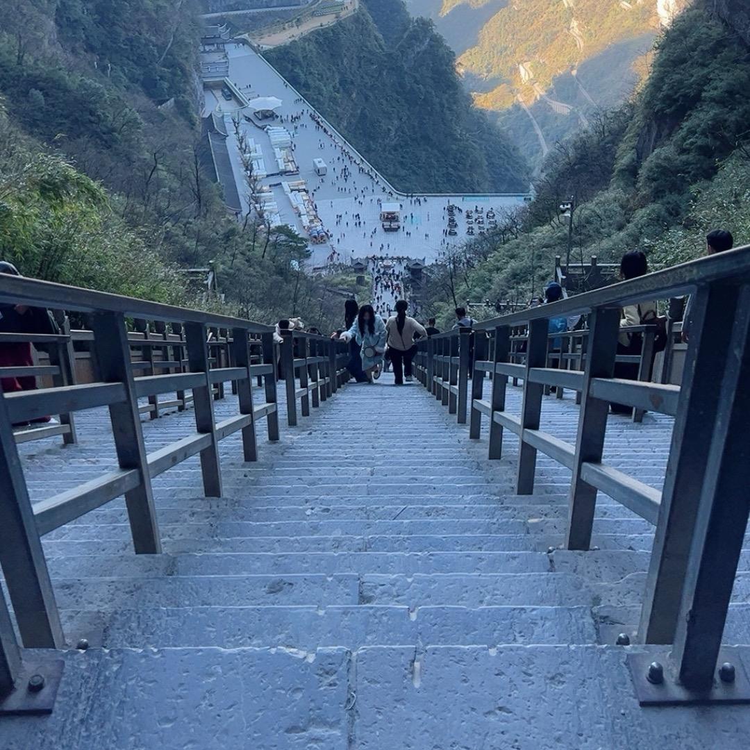 梦醒已不在[骨折六月脱拐版]