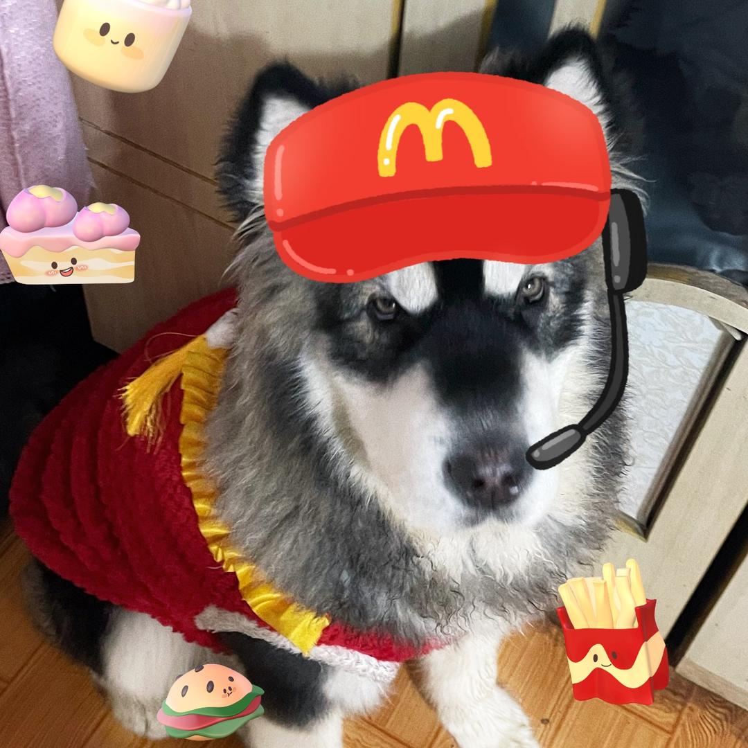 十一
