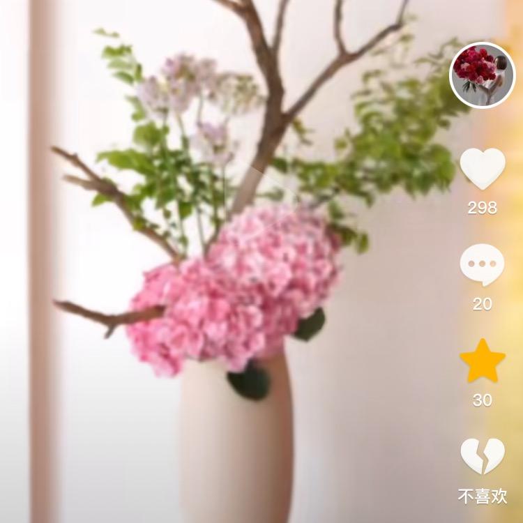 朝云万里