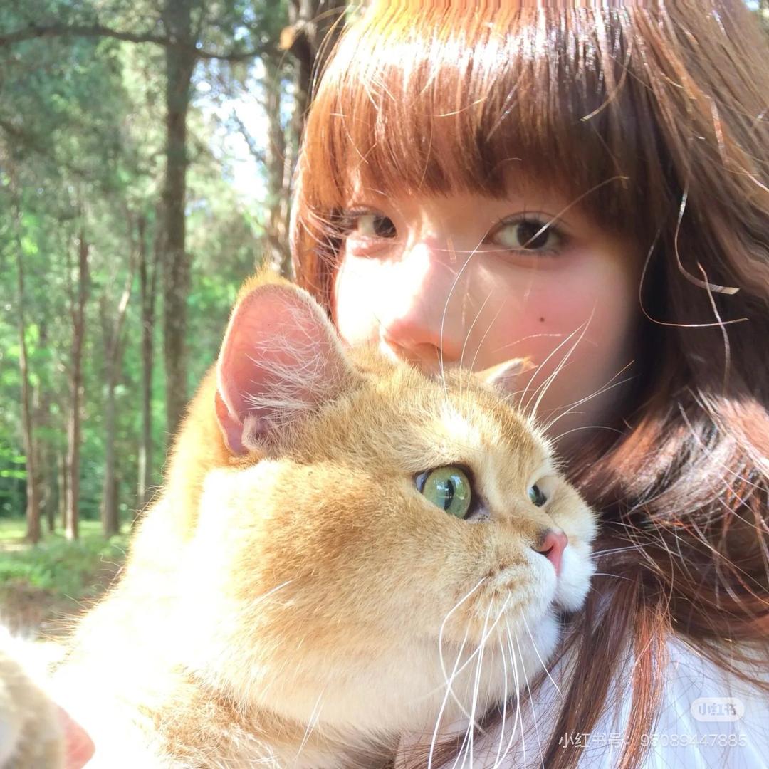 小爱。