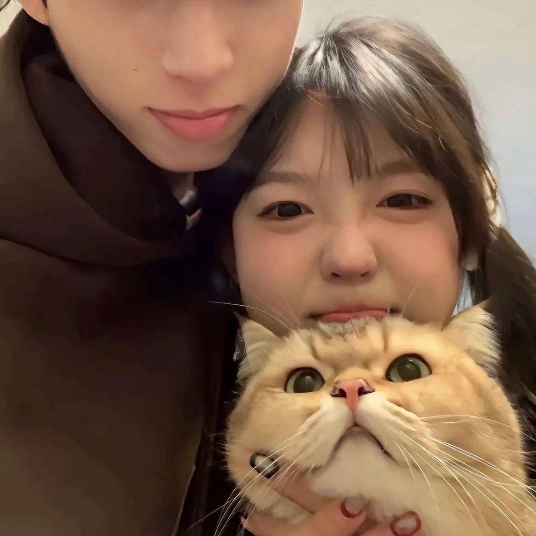 猫猫堡
