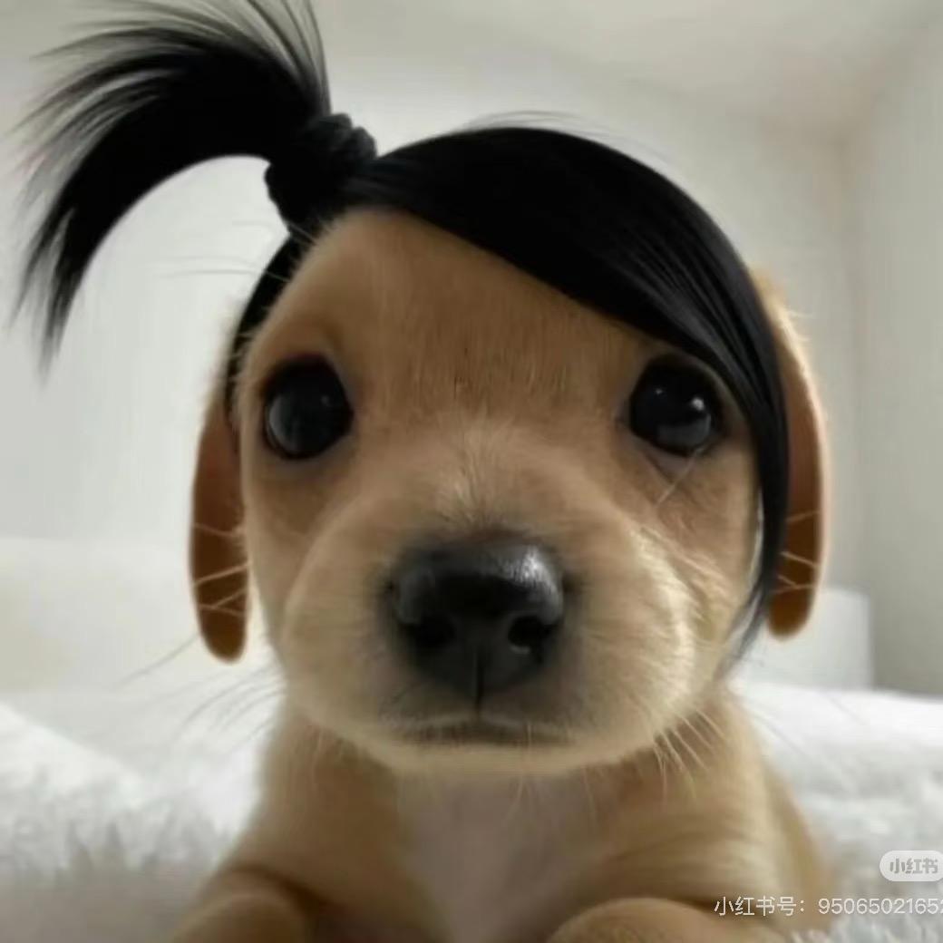Wuxidixi