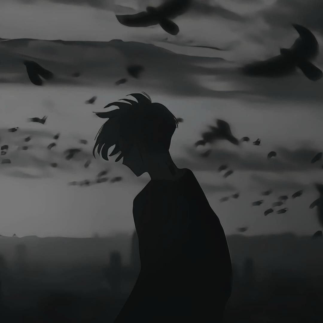 dbjnvcd
