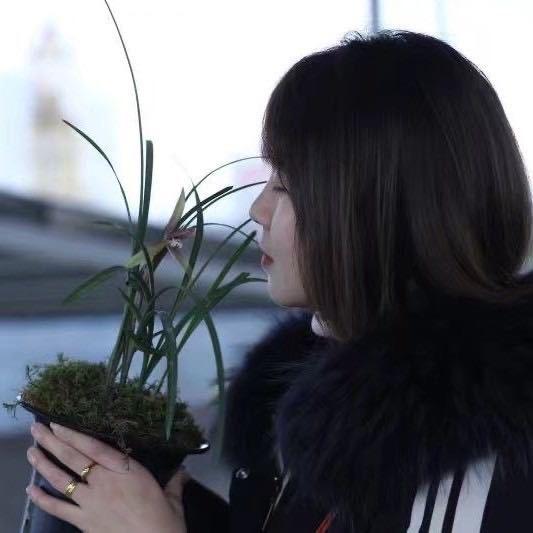 富硒兰花