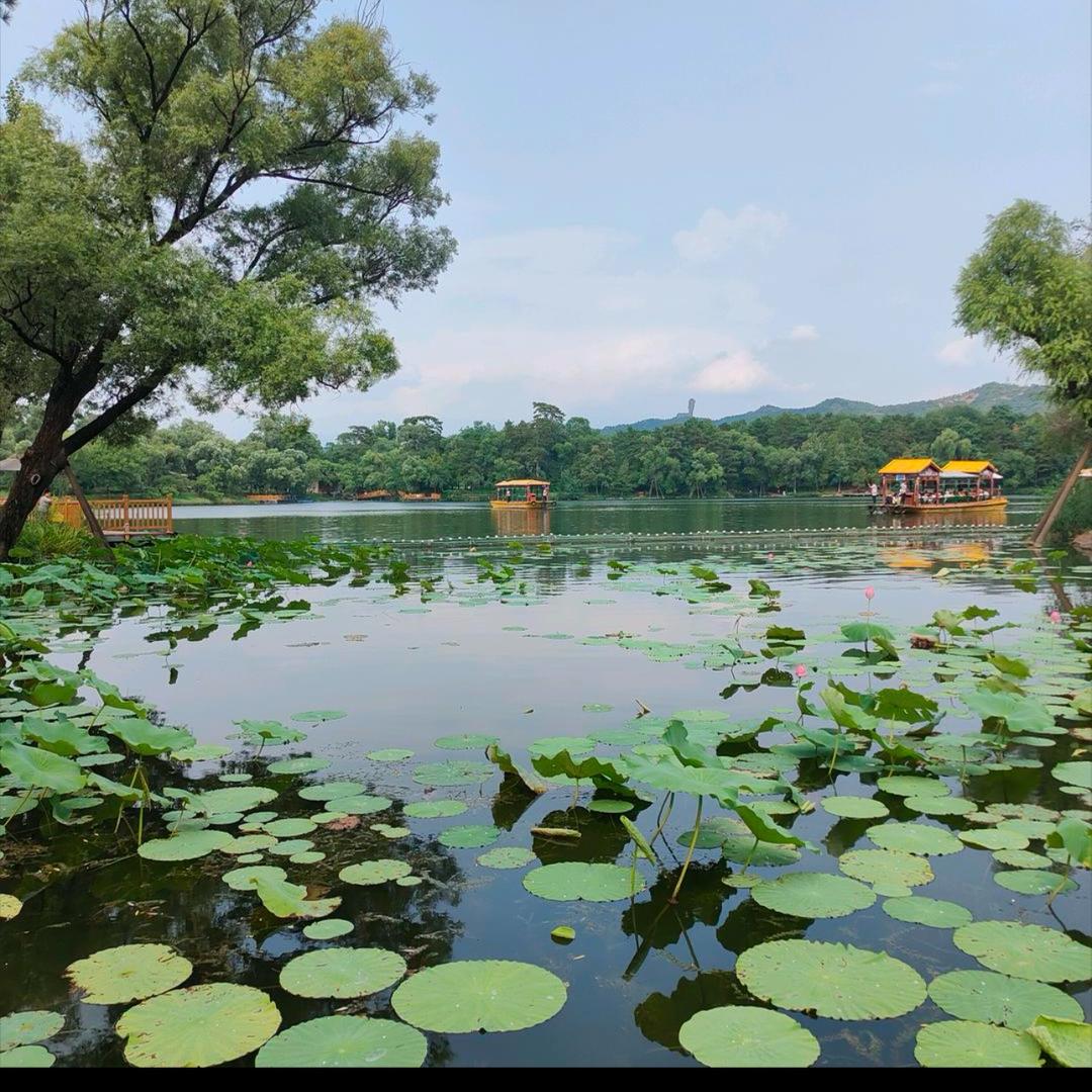 爱你的人永远不变