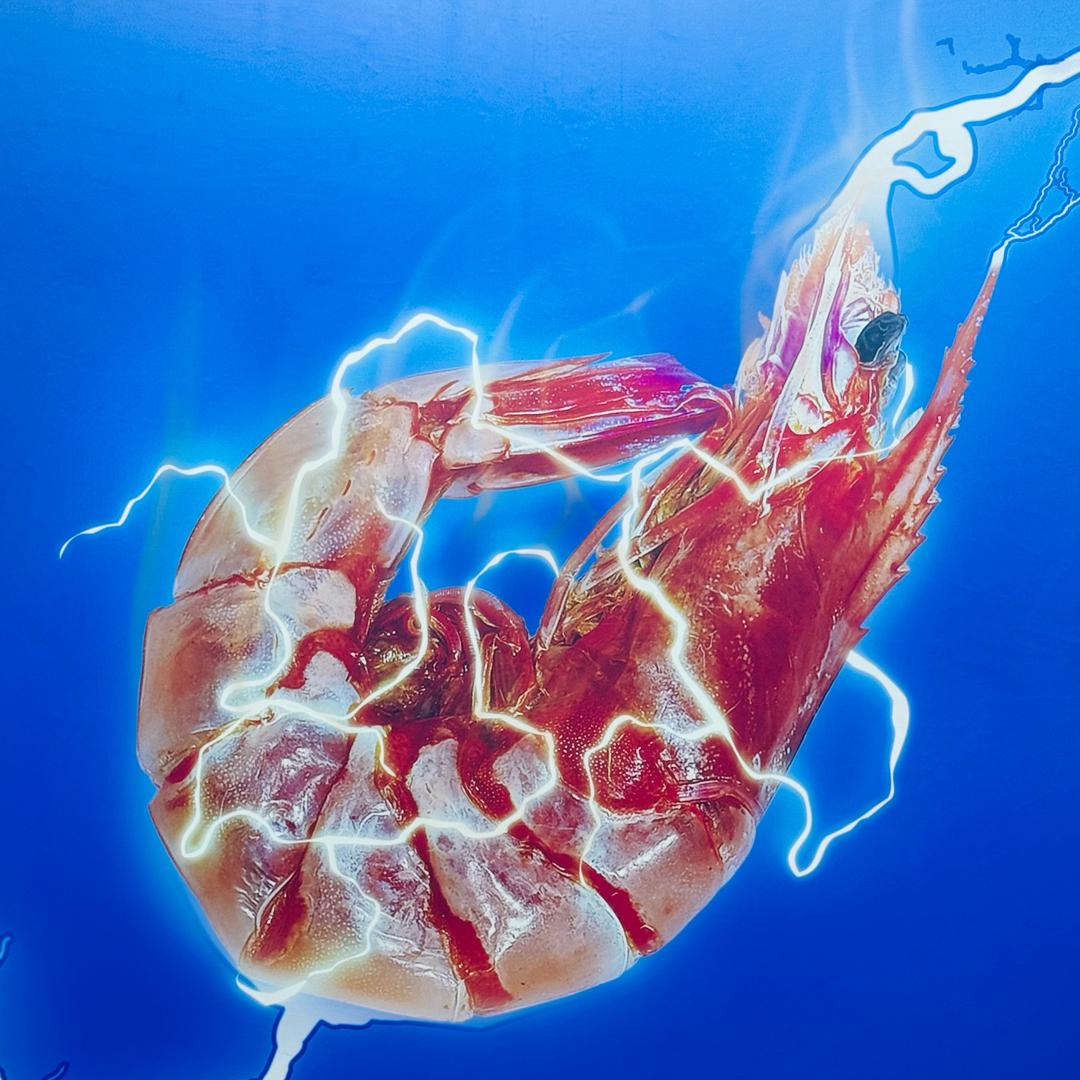 馋虾迷食品经营店