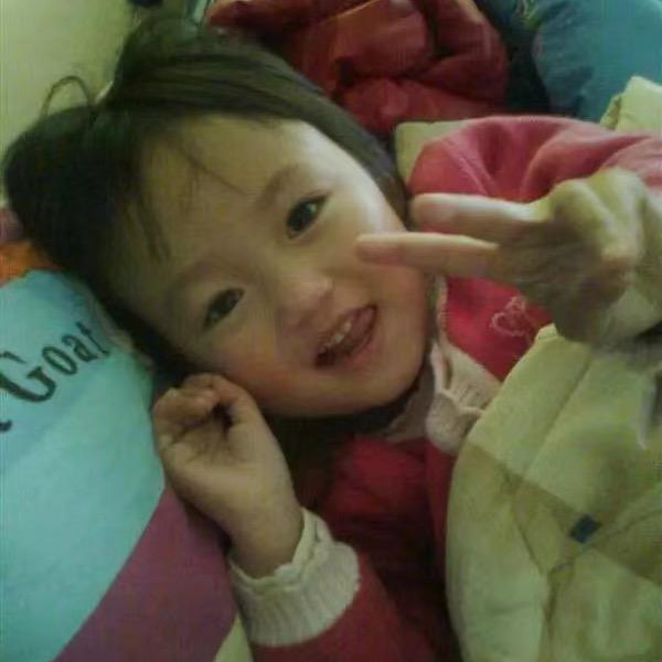 一只人和猫咪之123的故事