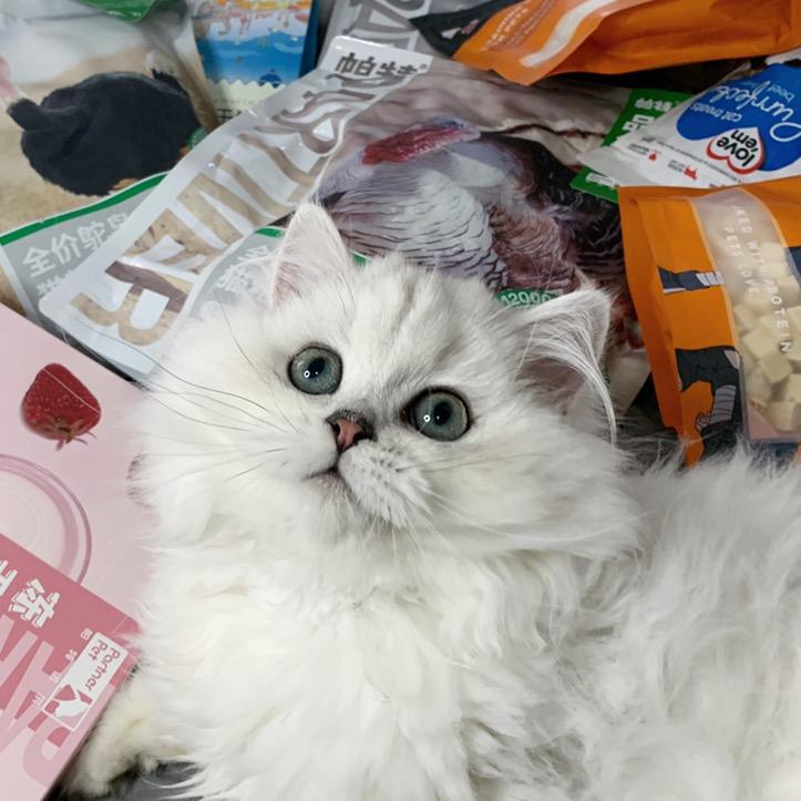 瑶瑶养猪日记