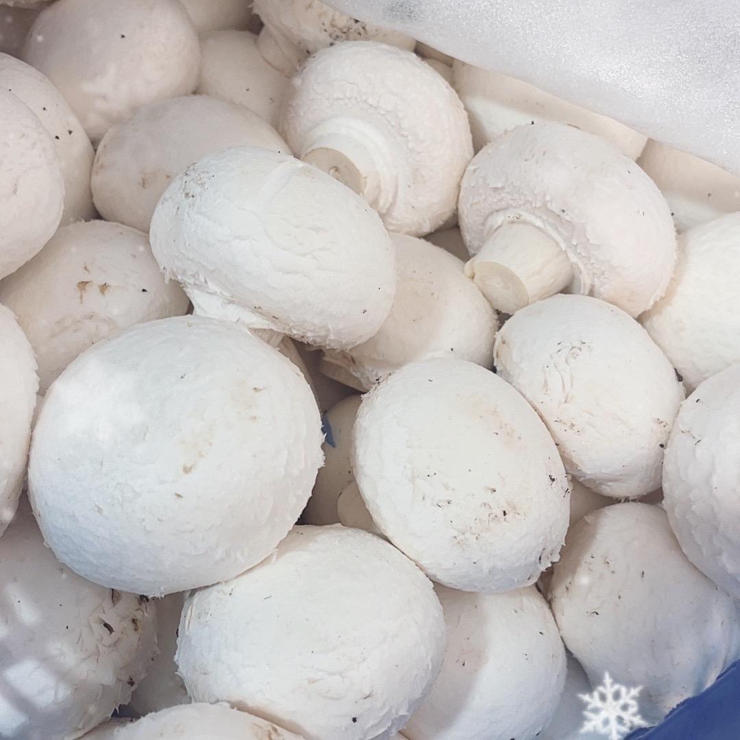 蘑菇食光