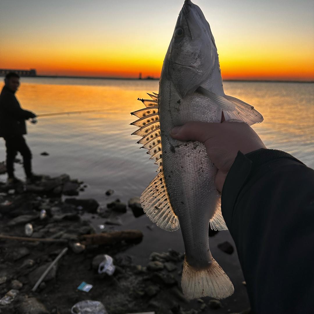 小喜爱路亚🎣（小琨总）