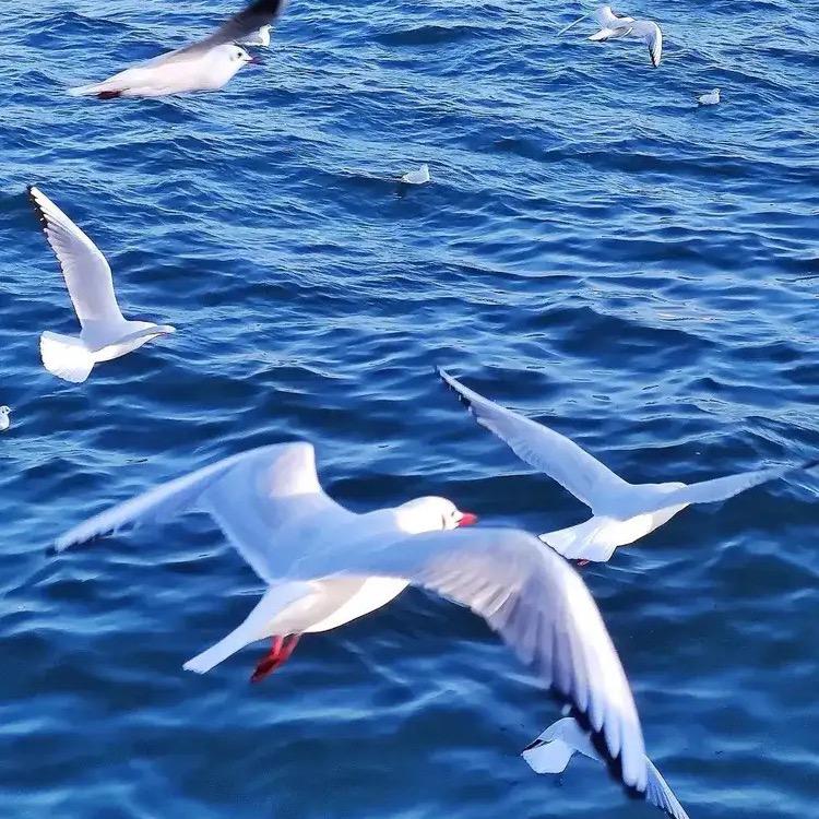 新世纪游泳健身小杰